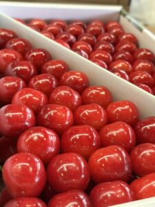 山形県産「露地さくらんぼ」が最盛期を迎えています！！